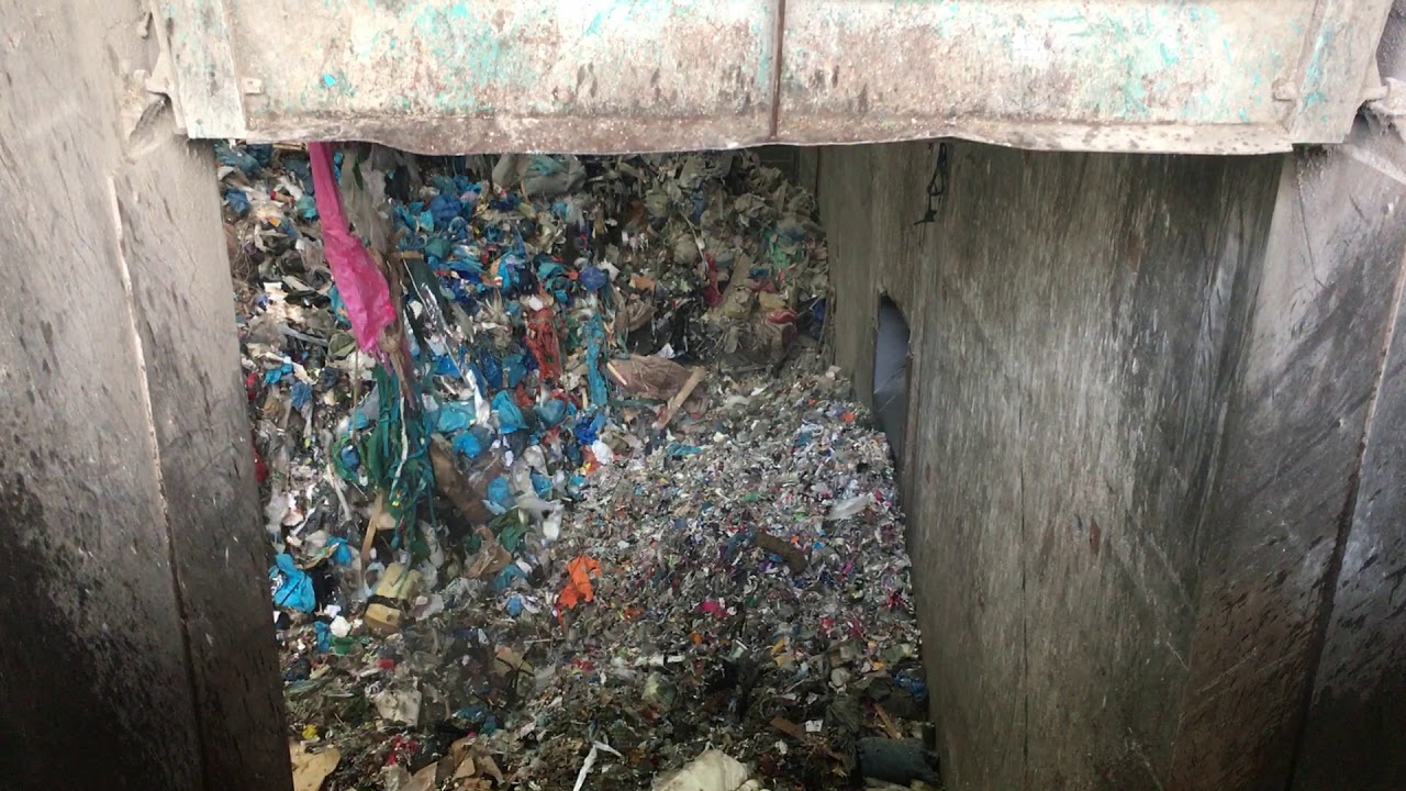 Andusia’s Golden Bale in the Bunker