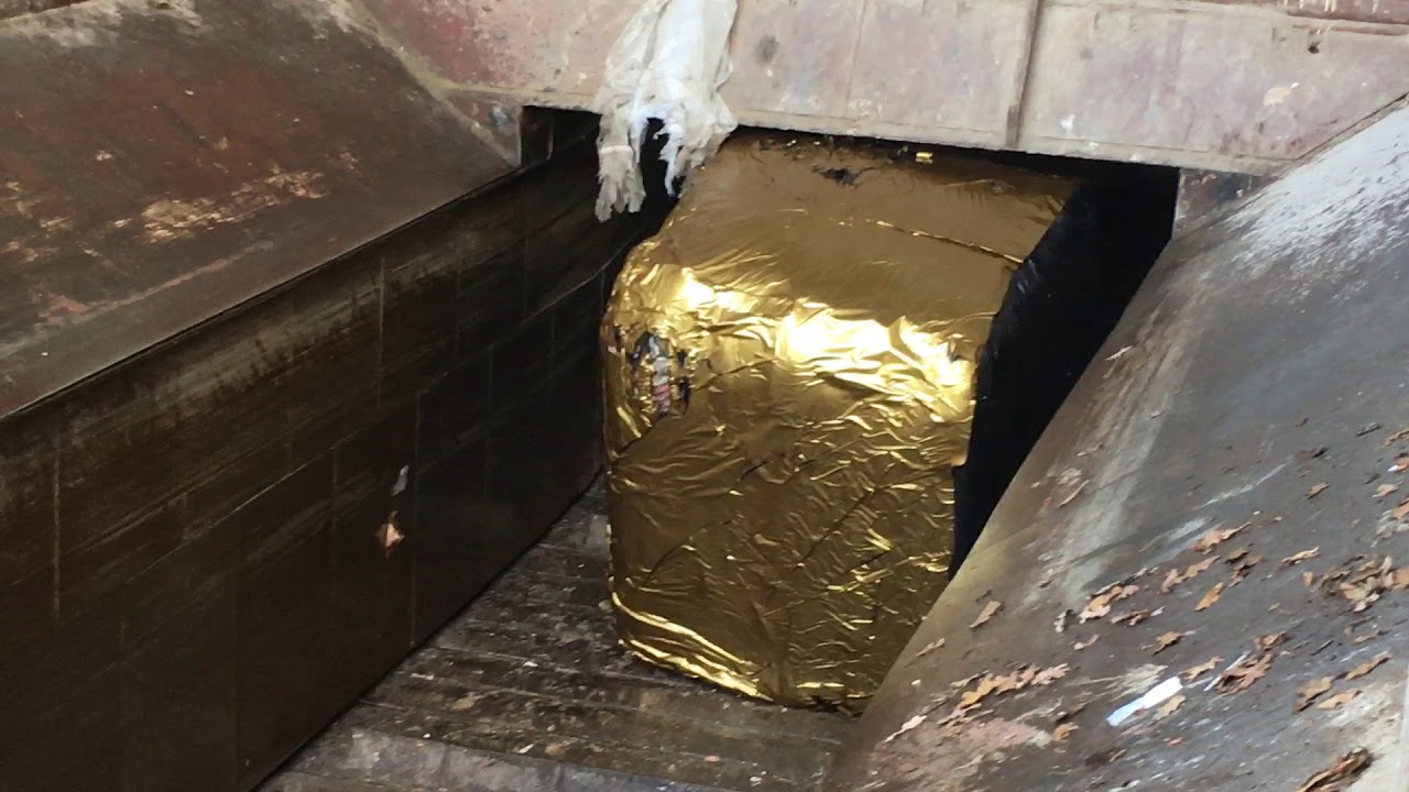 Andusia's Golden Bale is Shredded