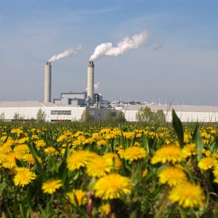 AEB Plant